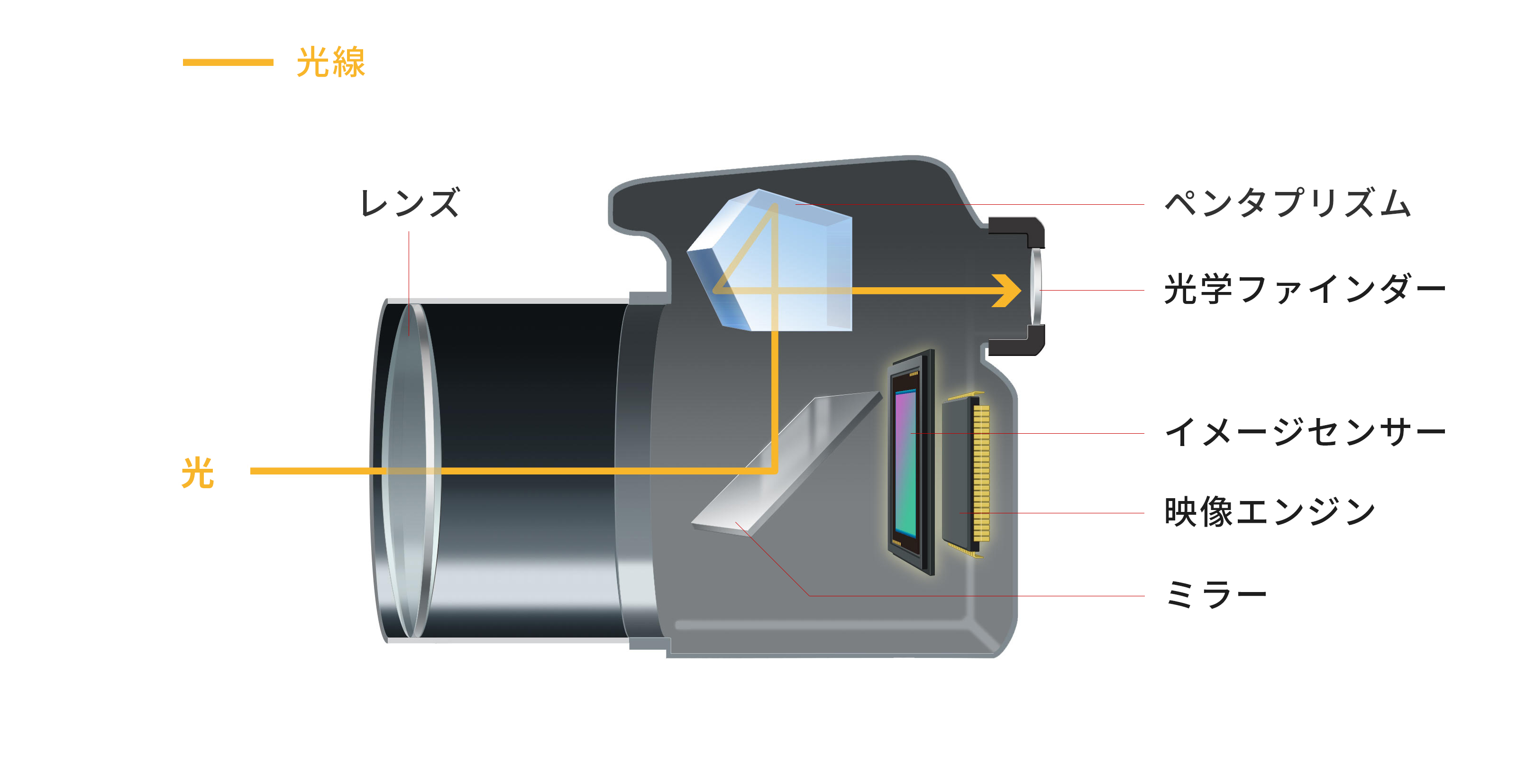デジタル一眼レフカメラ | キヤノングローバル