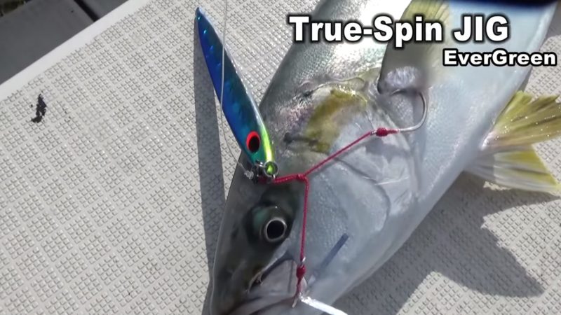 トゥルースピンジグが誕生！回転プラスで立体的フラッシング効果が