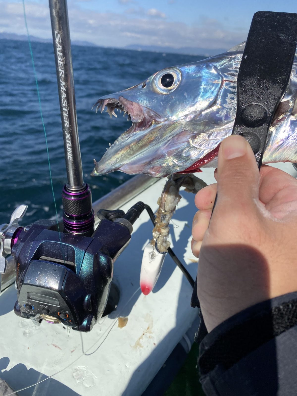 サーベルマスターエクスチューンをインプレ！好感度＆Xシートはマジで