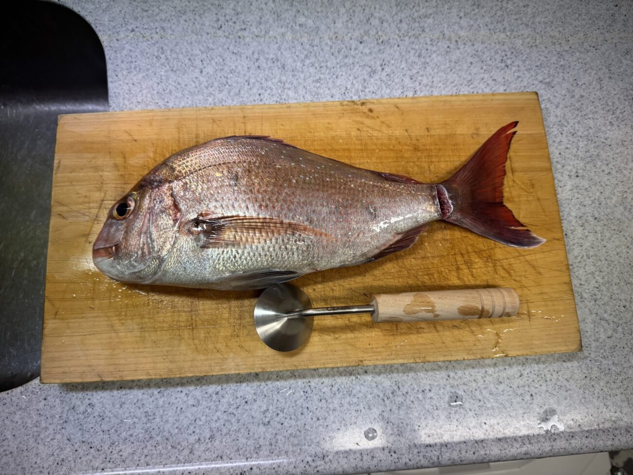 最強「うろこ取り」を紹介！安いし飛び散らないので超おすすめ