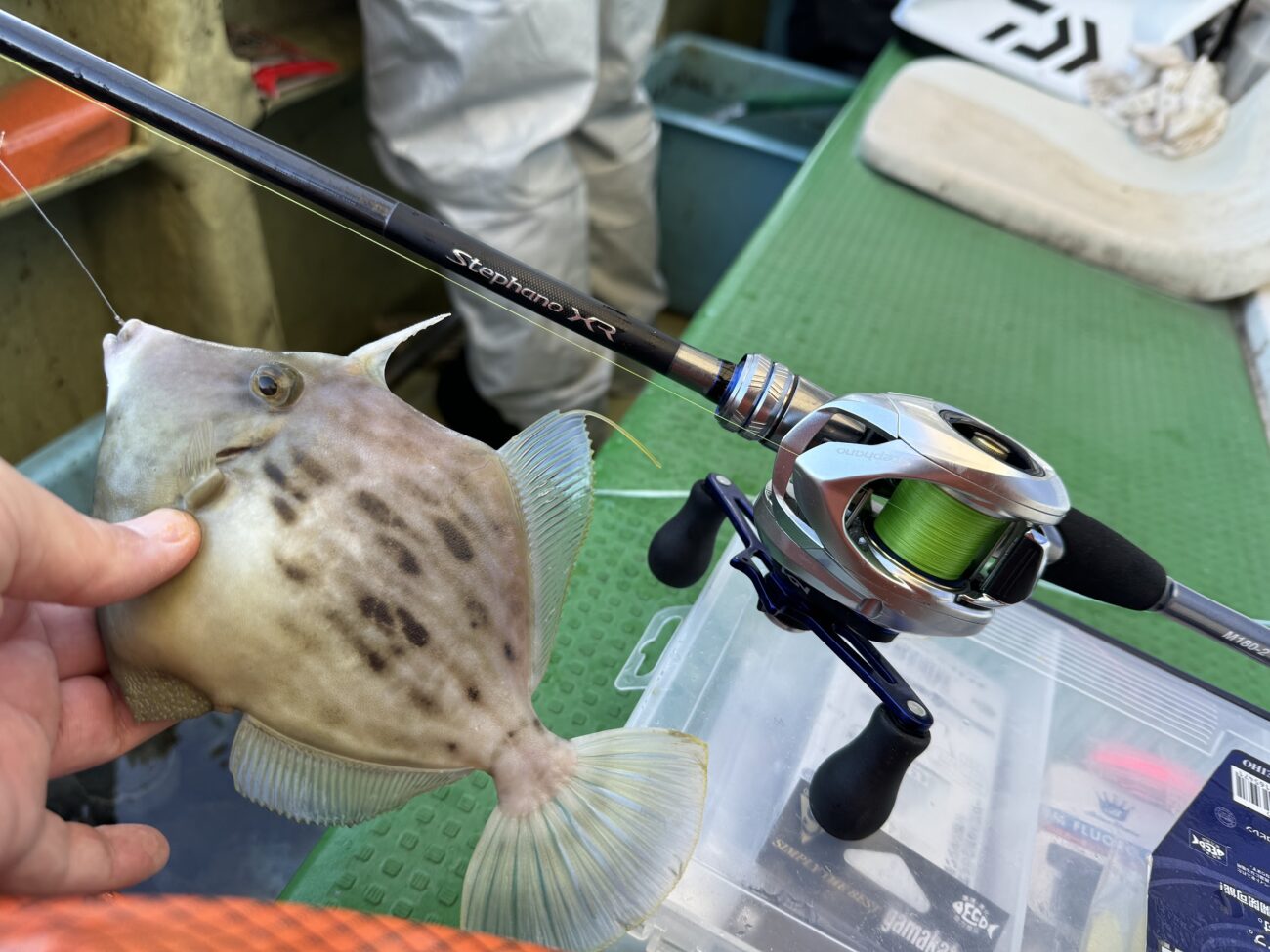 カワハギロッド「ステファーノXR」をインプレ！手感度が非常に良い
