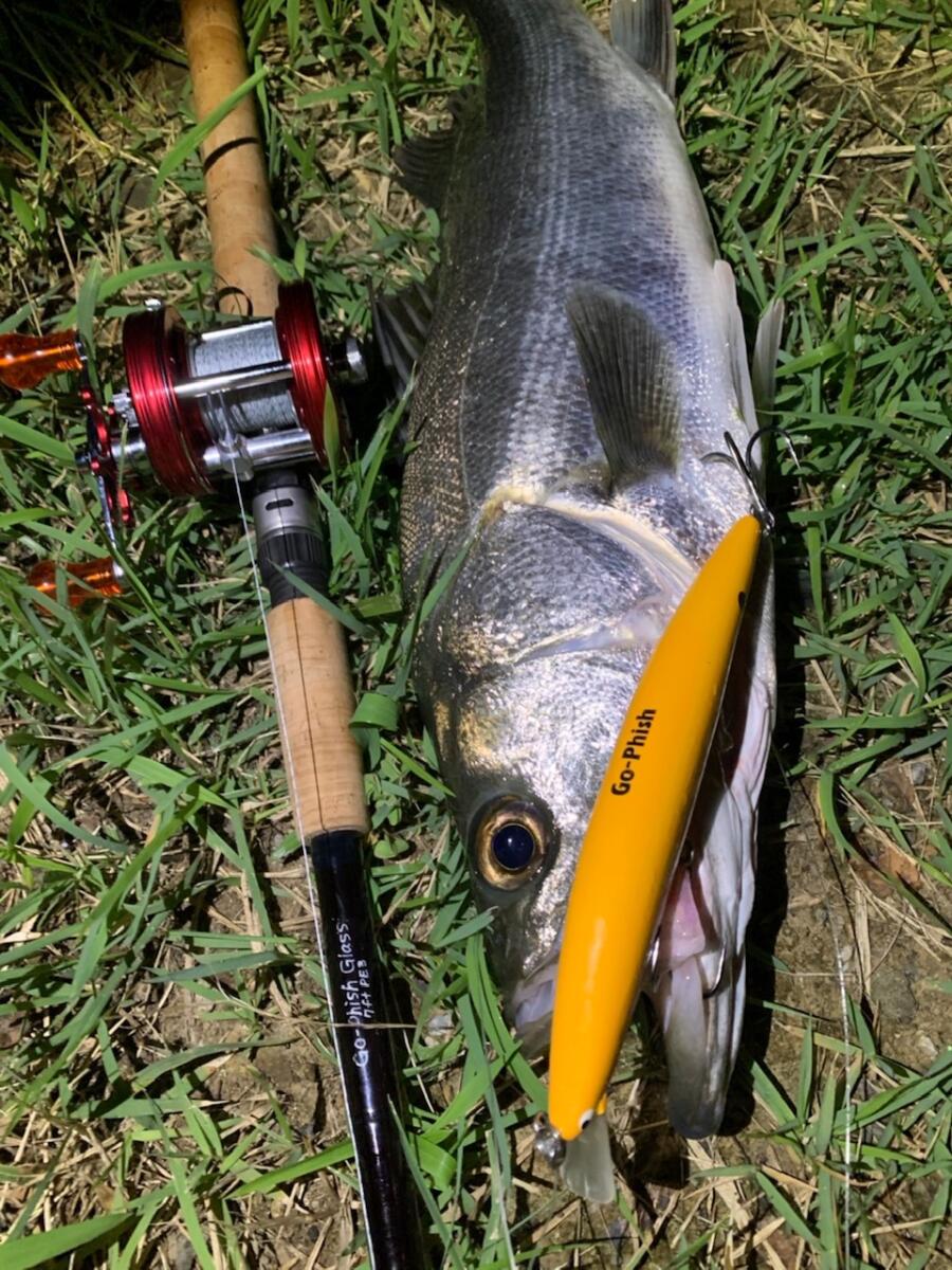ロッドGo-Phish Glass 7ft ご予約受付開始です！ | Go-Phish