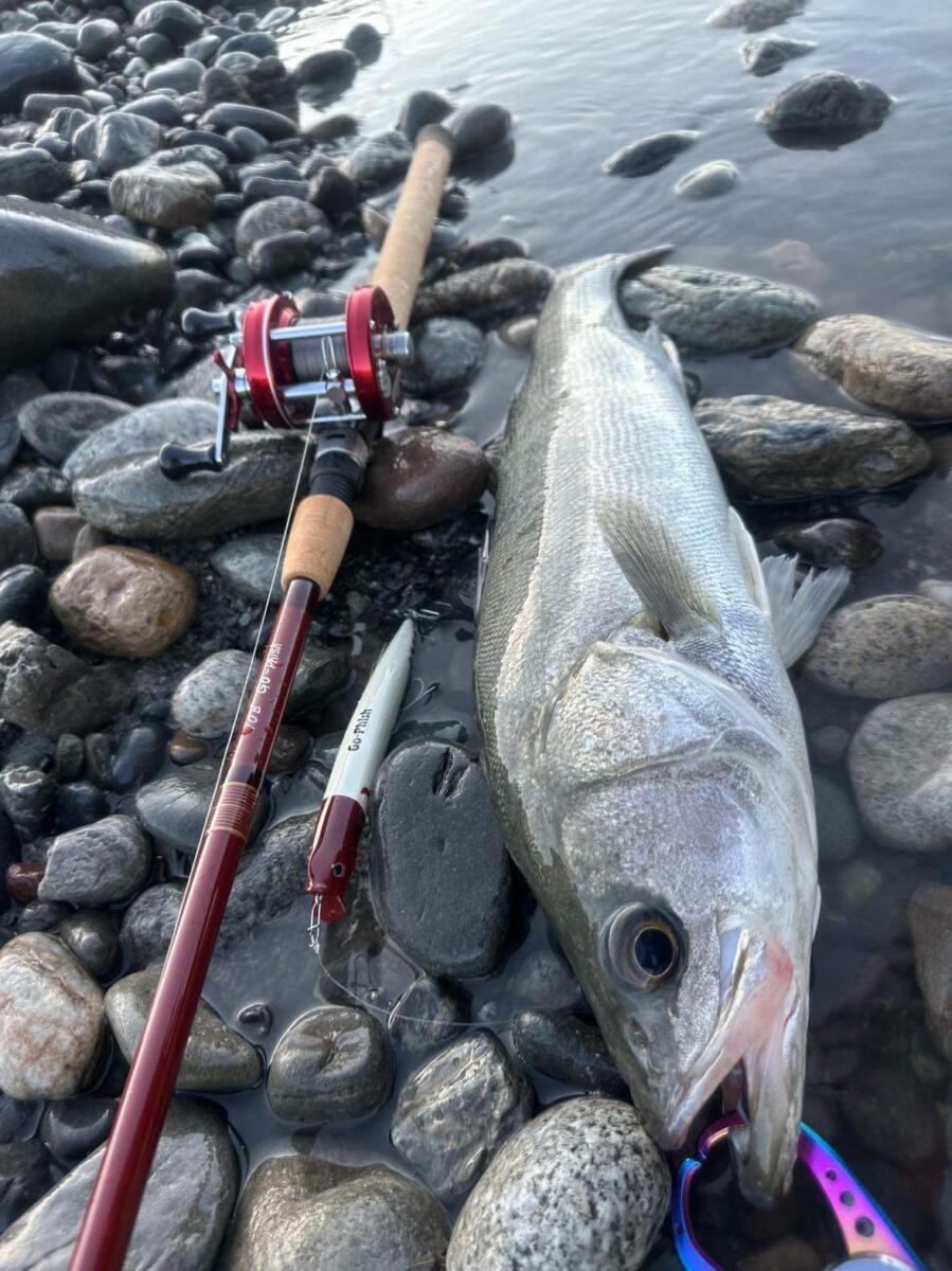 Go-Phish10B !! | Go-Phish