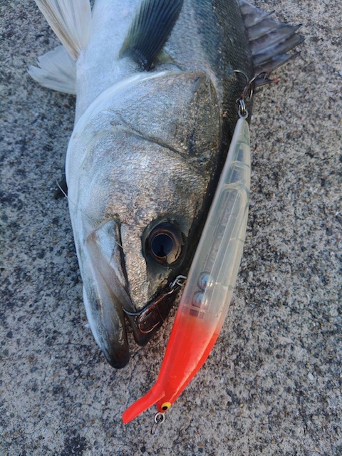 TheTakeBacker10S‼ | Go-Phish