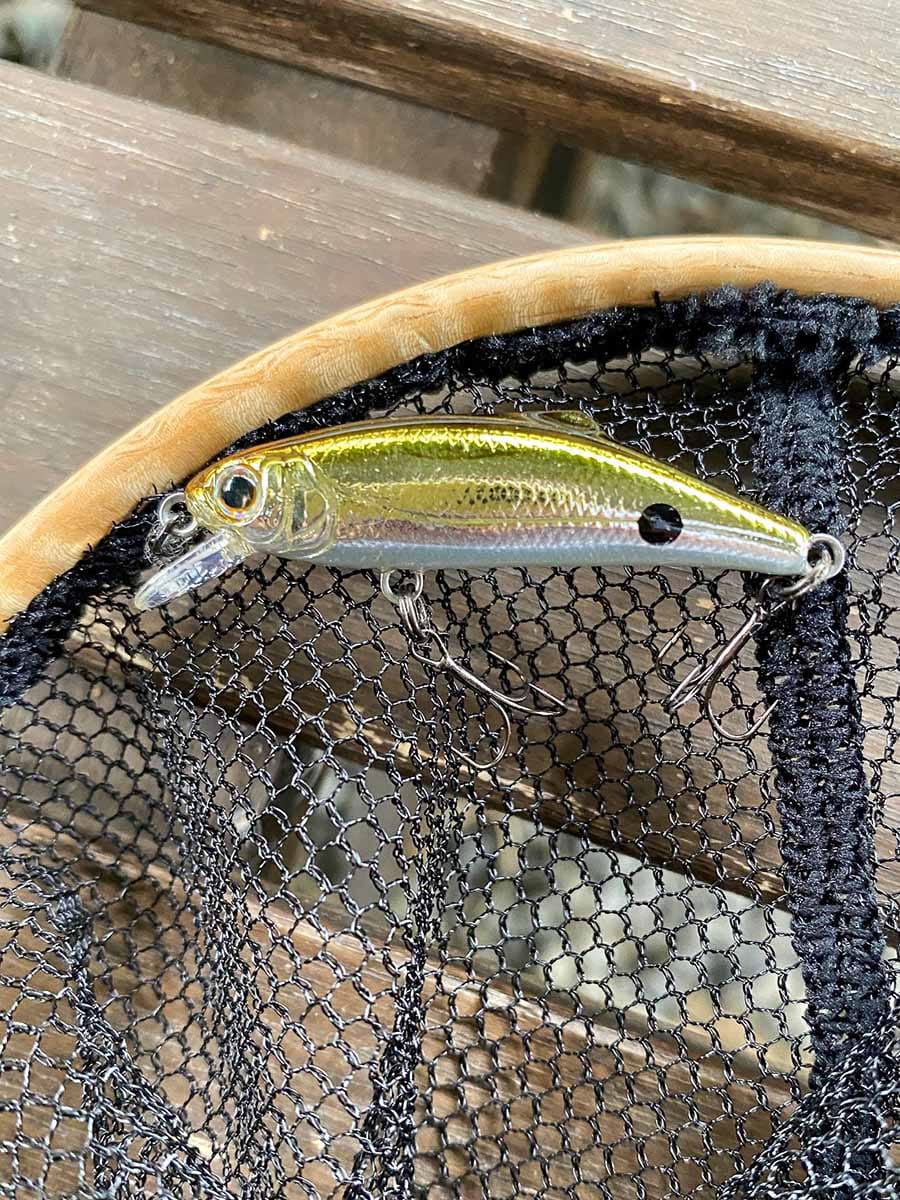 Go-Phish×Off craft 「小沢のネット（こさわのねっと）」【渓流