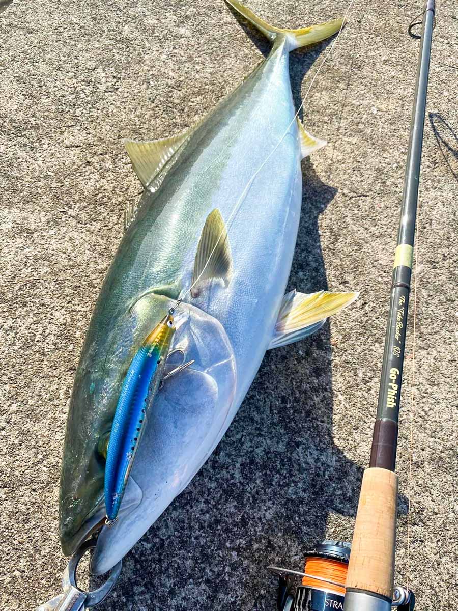 The Style of Go-Phish 10feet Seriesについて | Go-Phish