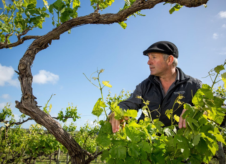 ウッドストック （サウス・オーストラリア州 / マクラーレン・ヴェイル