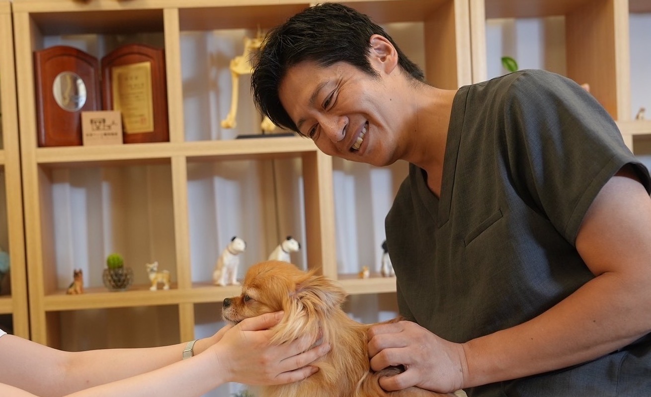 東郷流ペット整体 | グリーンカイロプラクティック