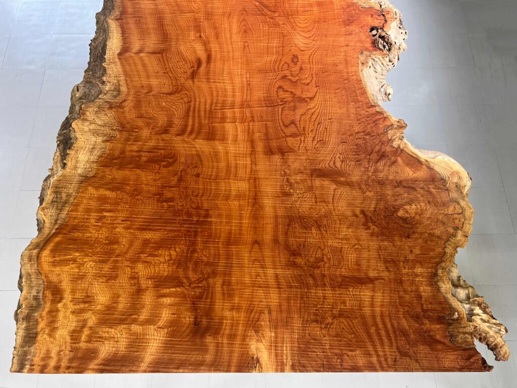 ケヤキ一枚板GX02 青島上之山神社の大欅 | GRAXEN JAPAN