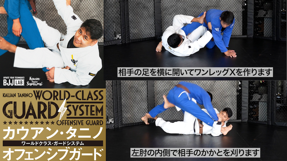 教則レビュー｜カウアン・タニノ『ワールドクラス・ガードシステム