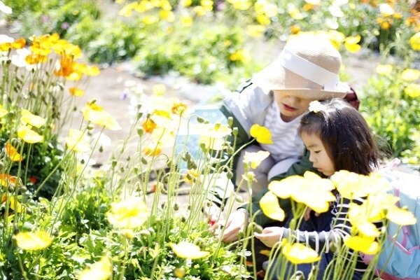 電車で行ける！「小川農園」で花摘み体験 - 多摩 - GRUTTO PLUS