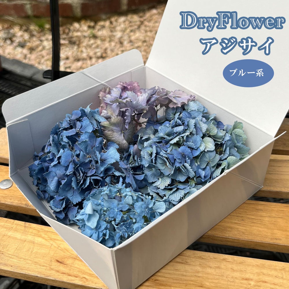 000000092201-01.jpg?size=l&w=