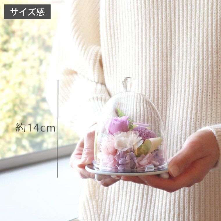 ペットちゃんの虹の橋 お供え花ドーム』 プリザーブドフラワー | 横浜