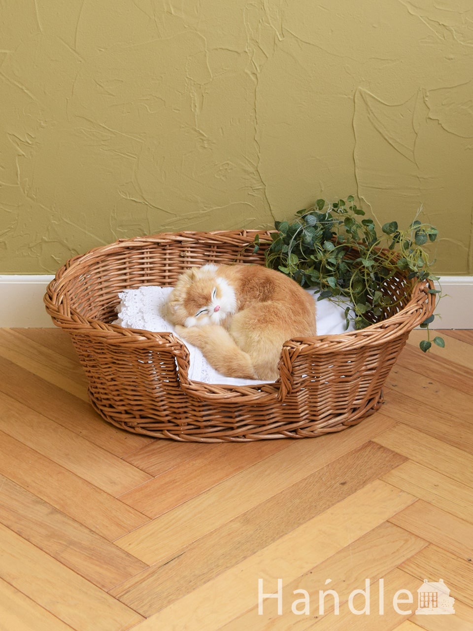 イギリスから届いた大きなサイズのバスケット、アンティークのドッグ