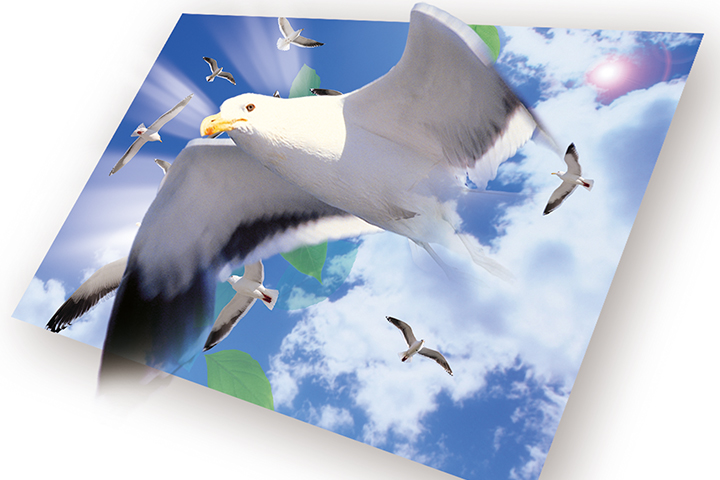 レンチキュラーポストカード（3D）｜レンチキュラー印刷｜付加価値印刷