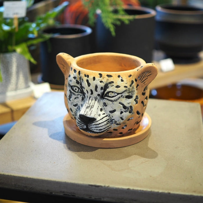 UROCO鉢 限定一品物 UROCO鉢 限定一品物