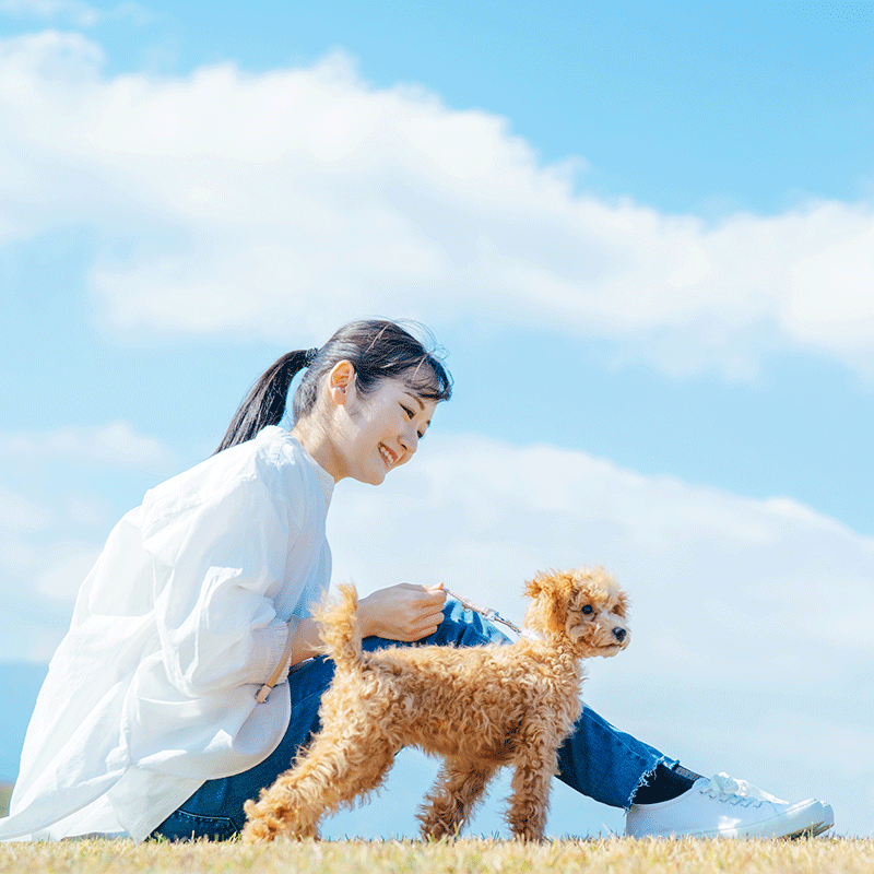 トリマーの通信資格講座｜ヒューマンアカデミー通信講座（旧たのまな）