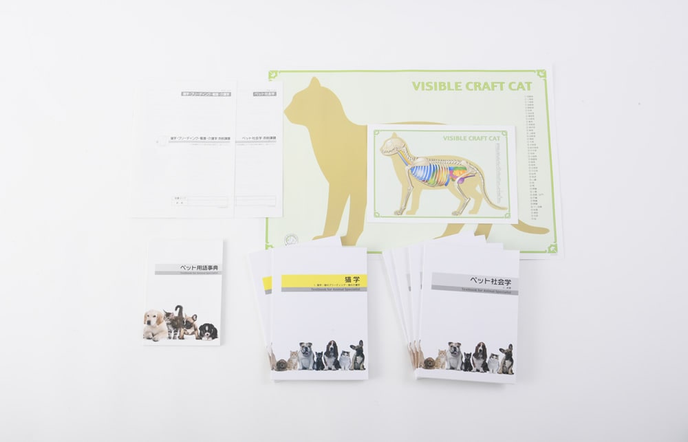 キャットケアスペシャリスト講座|通信教育講座で資格なら「ヒューマン