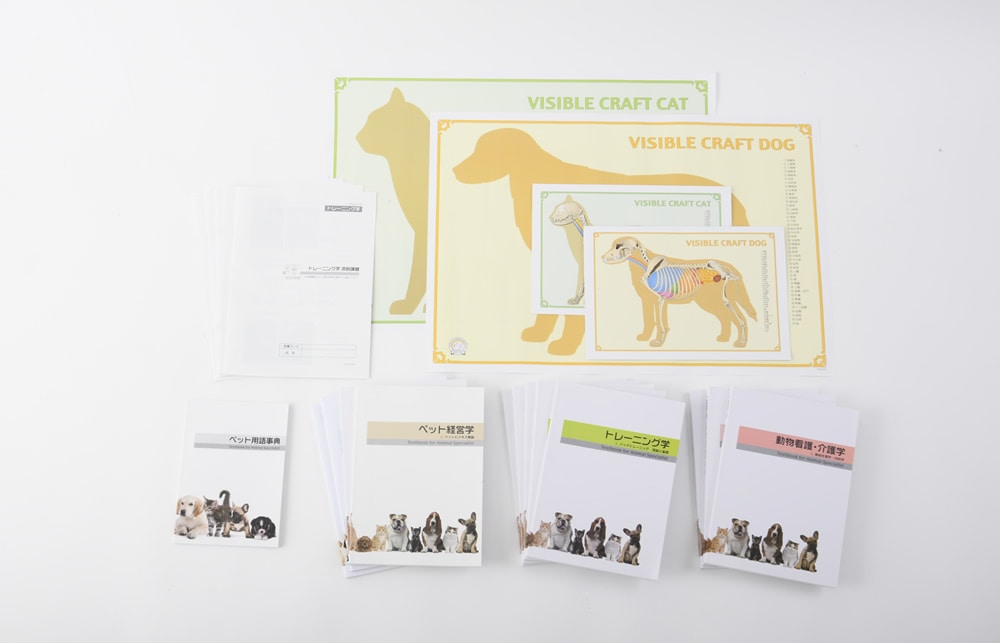 ドッグトレーナープロフェッショナル講座|通信教育講座で資格なら