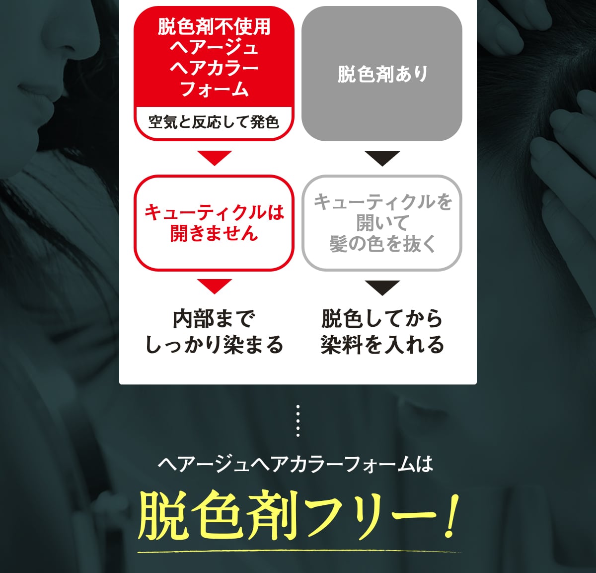 公式】hairju（ヘアージュ）│ヘアカラーフォーム
