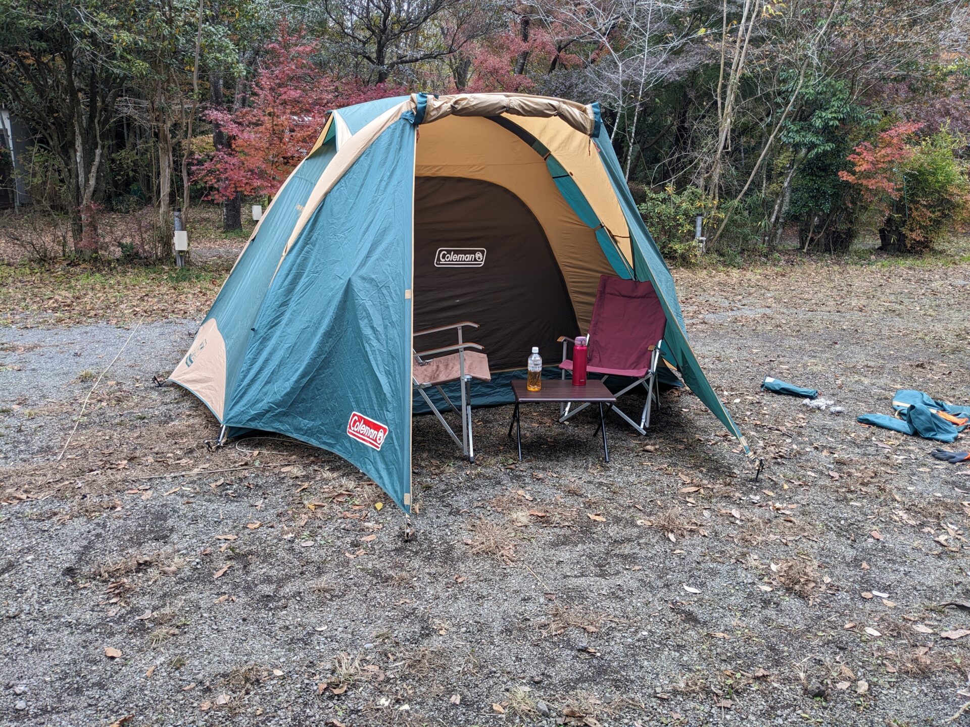 テント 使用レビュー】コールマン タフワイドドーム300で広々