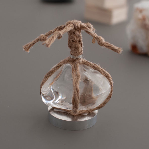 IMG-5958_600x.jpg?v=1710857289