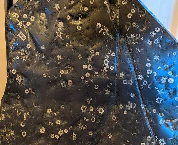 梅花石（ばいかせき）- Plum Blossom Stone ｜ ハッピーストーンズ