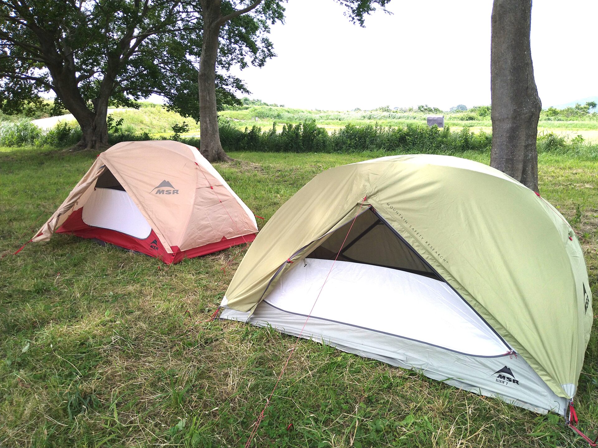 新旧比較】MSRのテント「エリクサー」がリニューアル！新機能と使い