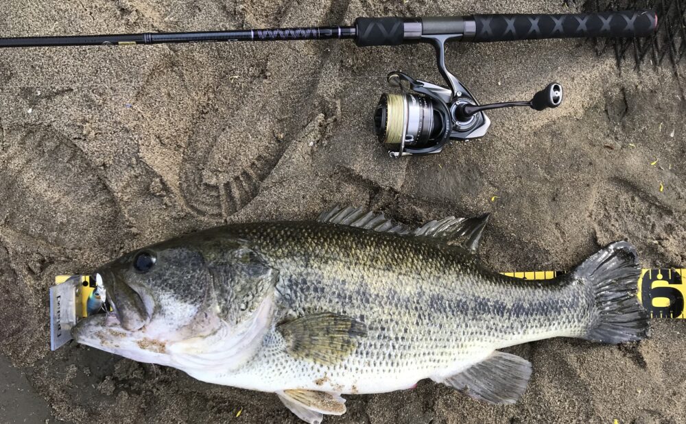 ハートランド6102MLFS-19 インプレ】高トルクかつ感度も操作性も高い名