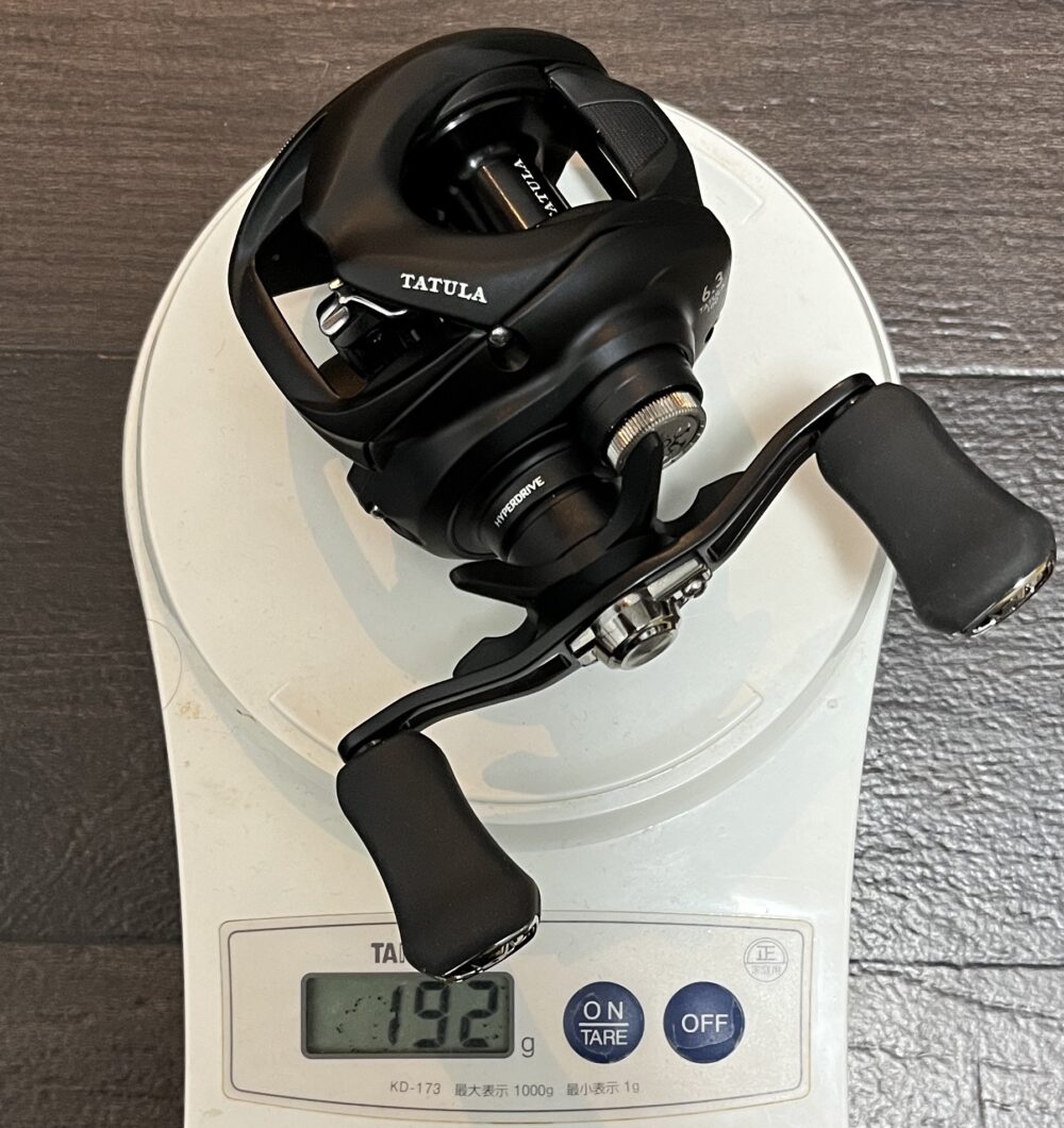 24タトゥーラTW 100 インプレ】ハイコスパのヘビーバーサタイル機