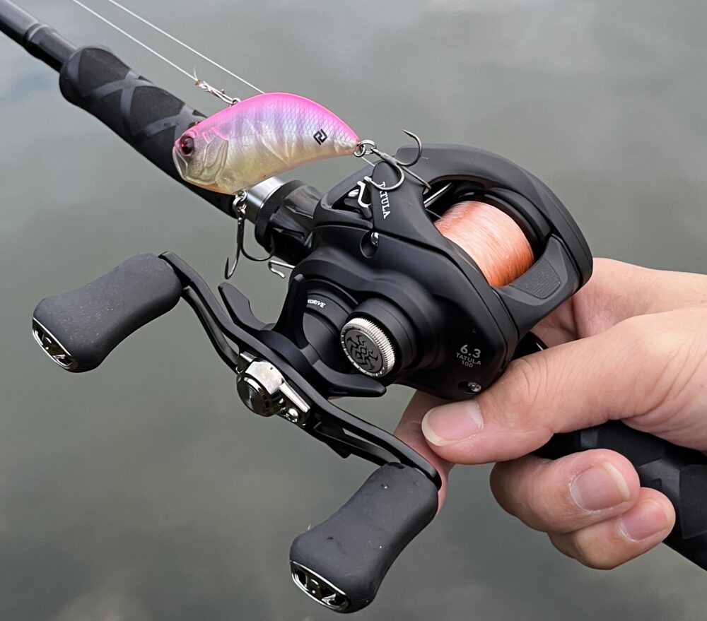 24タトゥーラTW 100 インプレ】ハイコスパのヘビーバーサタイル機