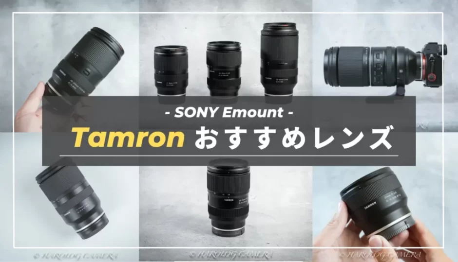 Tamron】コスパ最高！使って良かったタムロン神レンズまとめ（SONY E