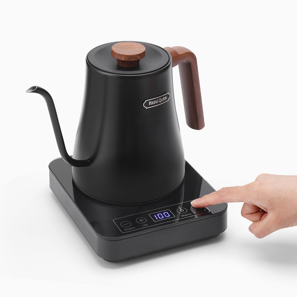 Gooseneck Electric Kettle with LED Display, Precision Temperature