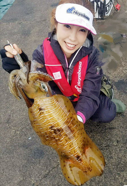 まだまだ続いています！伊豆春イカ！！ | ハヤブサLady 隼華-HAYAKA-