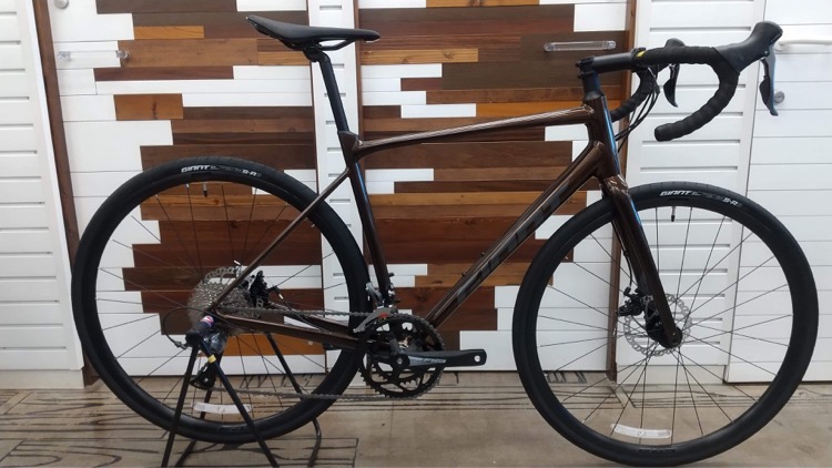 ようやく僅かに入荷致しました! GIANT CONTEND シリーズ (ジャイアント