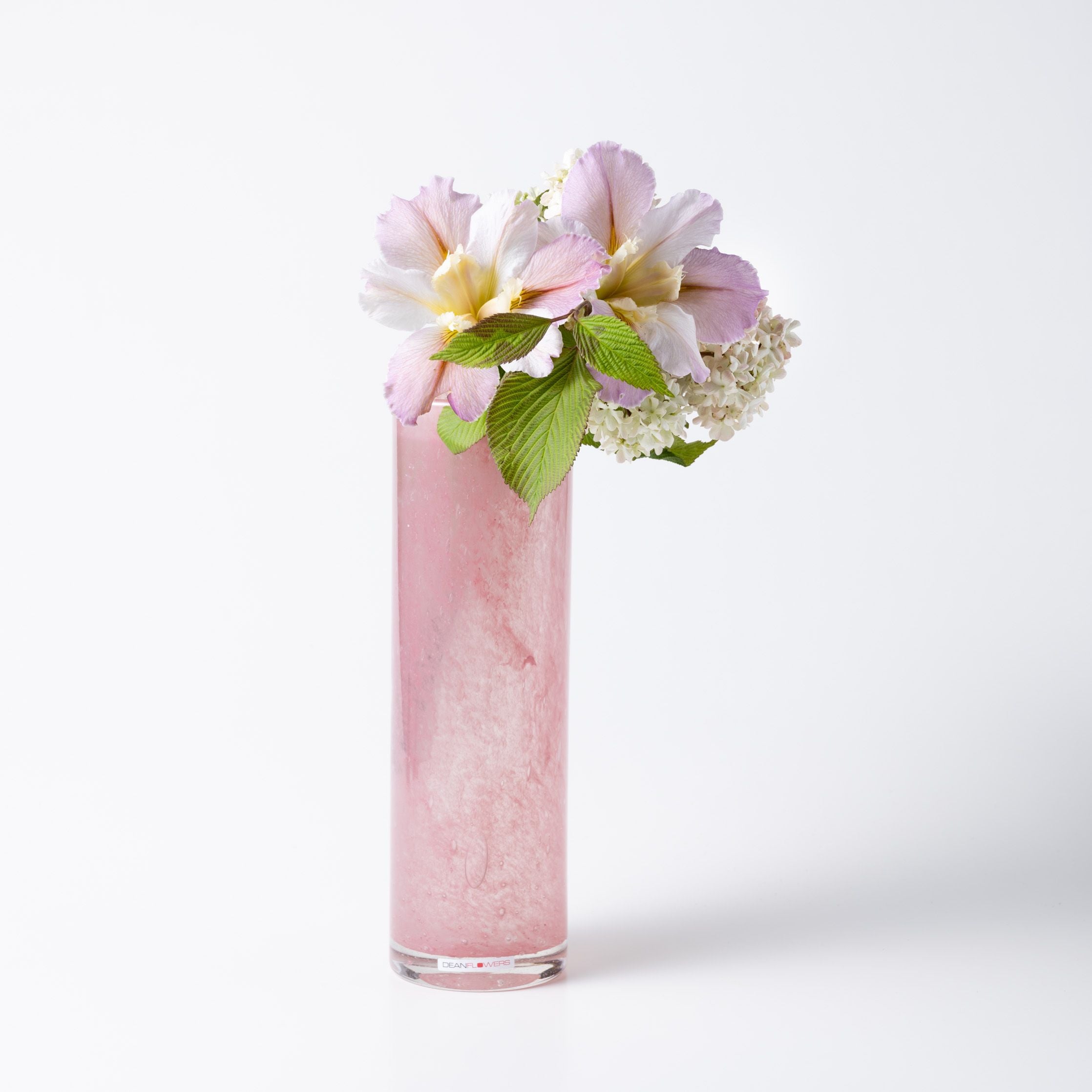 Pipe XL ブロッサム