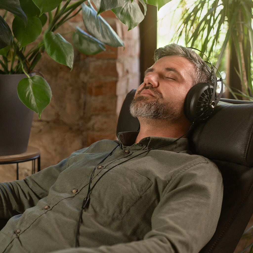 Meze Audio 105 AER Headphones – Headphones.com