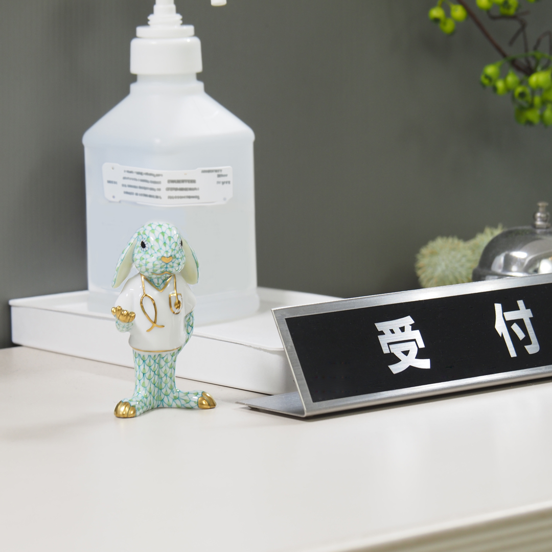 Working Bunny 『メディカルバニー』