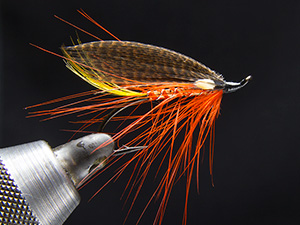 Jungle Cock ジャングルでは保護色。フライではアイ