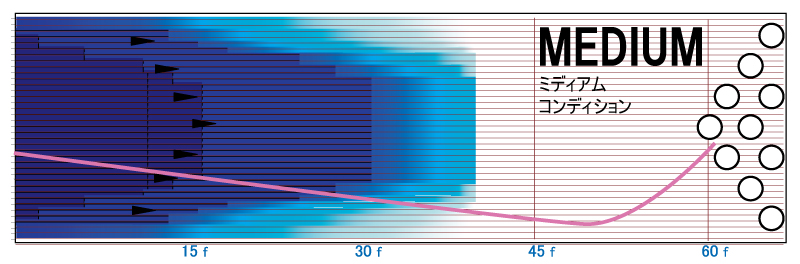 CODE PERFECT - ハイスポーツ社 ：信頼のボウリング用品販売