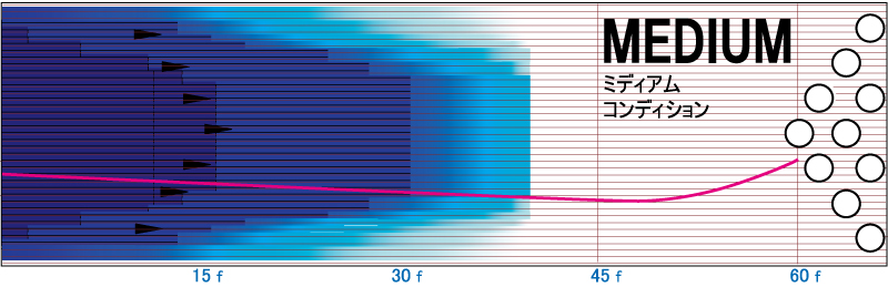 IQスピアー - ハイスポーツ社 ：信頼のボウリング用品販売