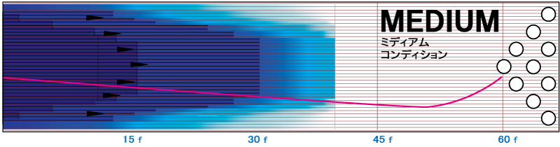 IQツアーA.I. - ハイスポーツ社 ：信頼のボウリング用品販売