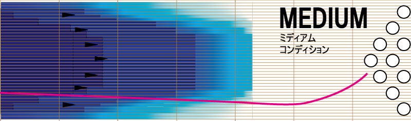 マーヴェル・スケール - ハイスポーツ社 ：信頼のボウリング用品販売