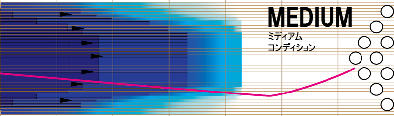 フェイズII パール - ハイスポーツ社 ：信頼のボウリング用品販売