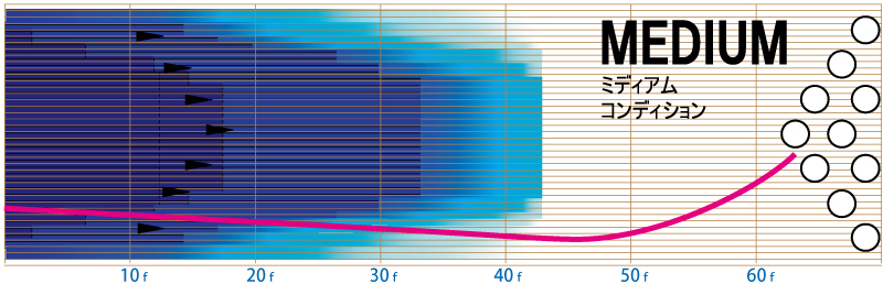 ネクストファクター - ハイスポーツ社 ：信頼のボウリング用品販売