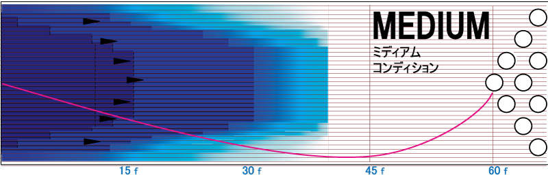 バイト・フロスト - ハイスポーツ社 ：信頼のボウリング用品販売