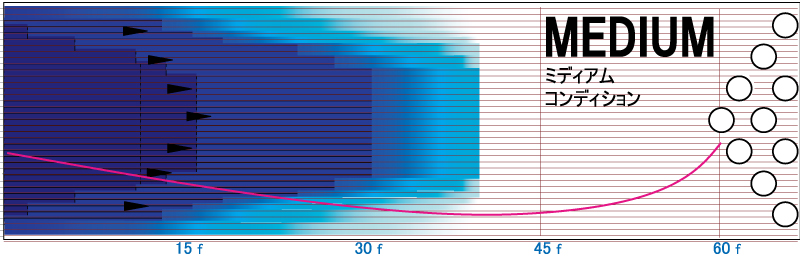 アブソリュート・パワー - ハイスポーツ社 ：信頼のボウリング用品販売