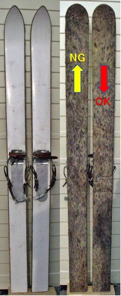 ゾンベル「アザラシ毛皮でバック・ストップ」: ひな恋の趣味雑多