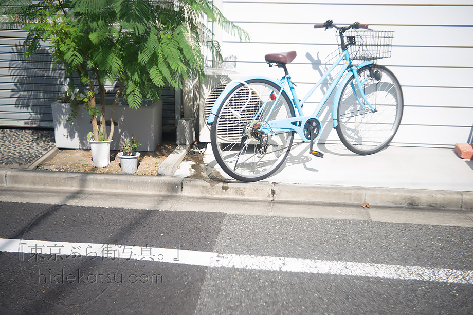 なぜ古いレンズはこんなにも優しく写る Steinheil Munchen / Cassar F2