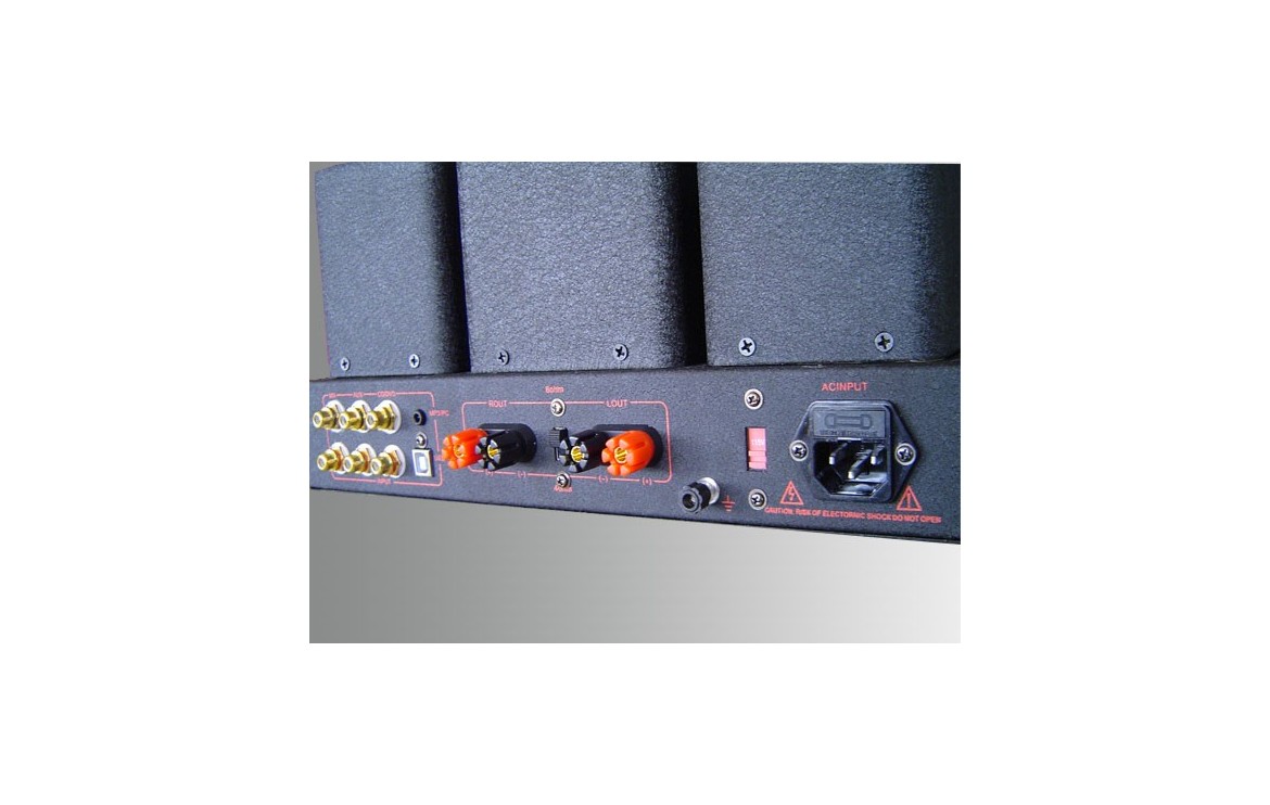 XiangSheng Sweet Peach SP-FU50 Tube Amplifier